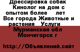 Дрессировка собак (Кинолог на дом с опытом более 10 лет) - Все города Животные и растения » Услуги   . Мурманская обл.,Мончегорск г.